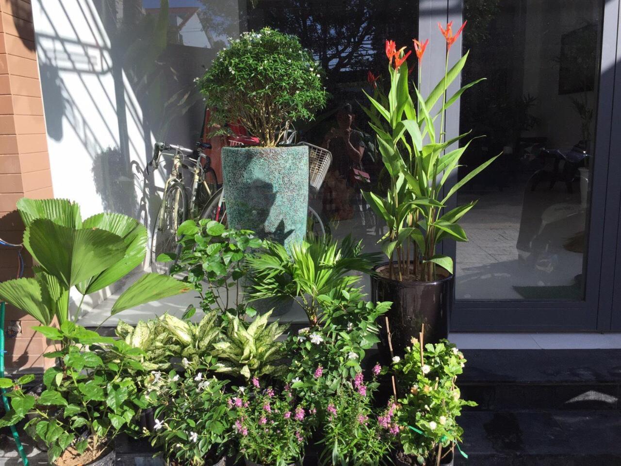 La An Homestay Hoi An Esterno foto