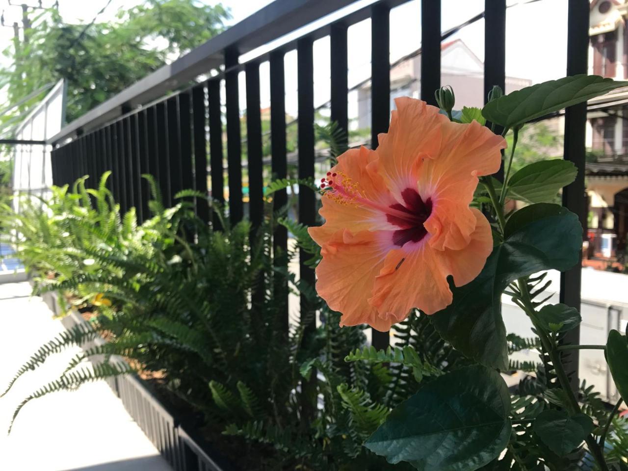 La An Homestay Hoi An Esterno foto